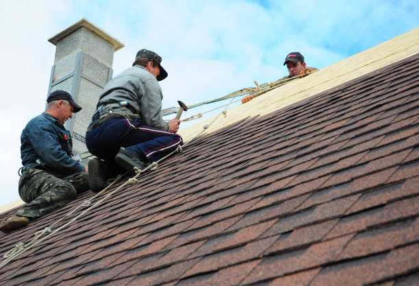Best Storm Damage Roof Repair  in Vail, CO